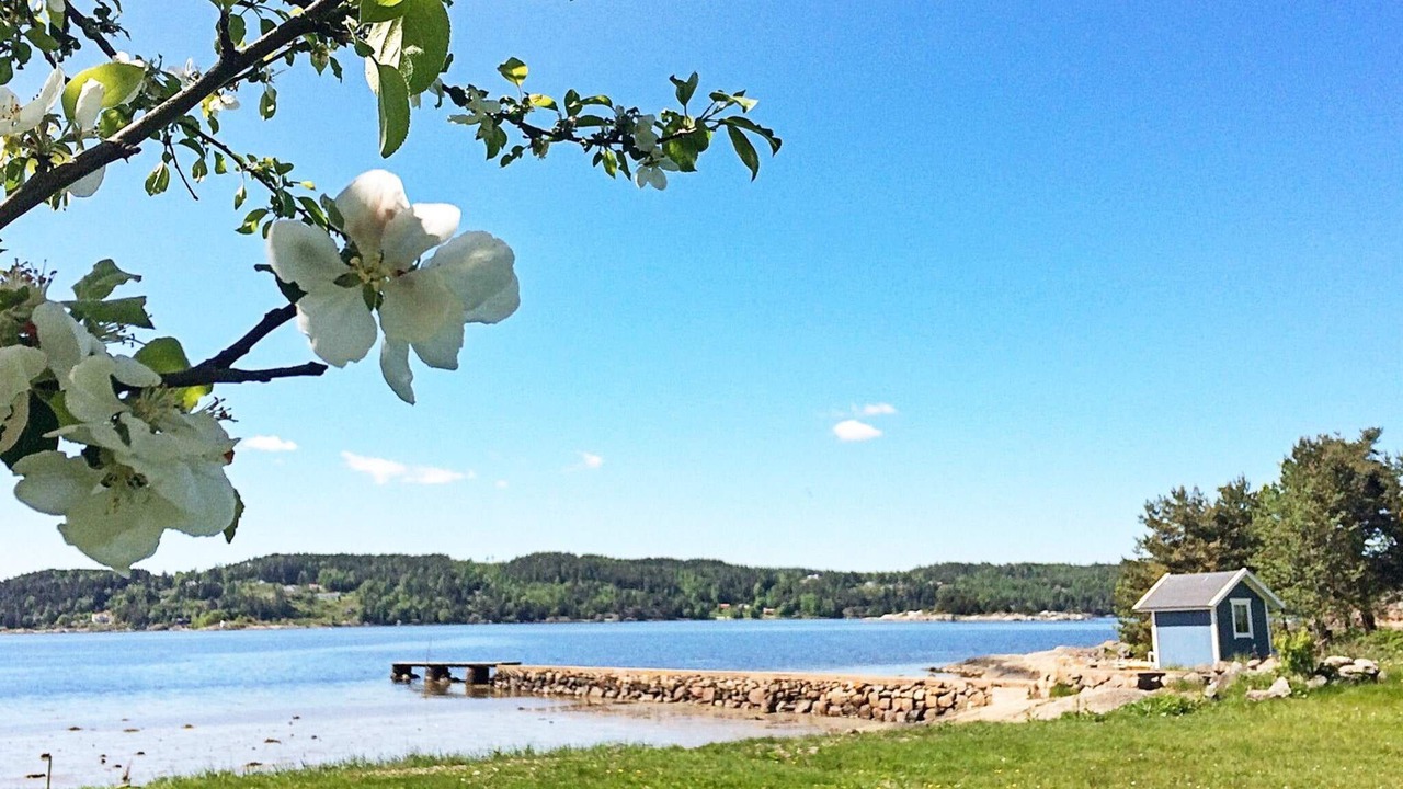 Photo of Outdoor in Ljungskile