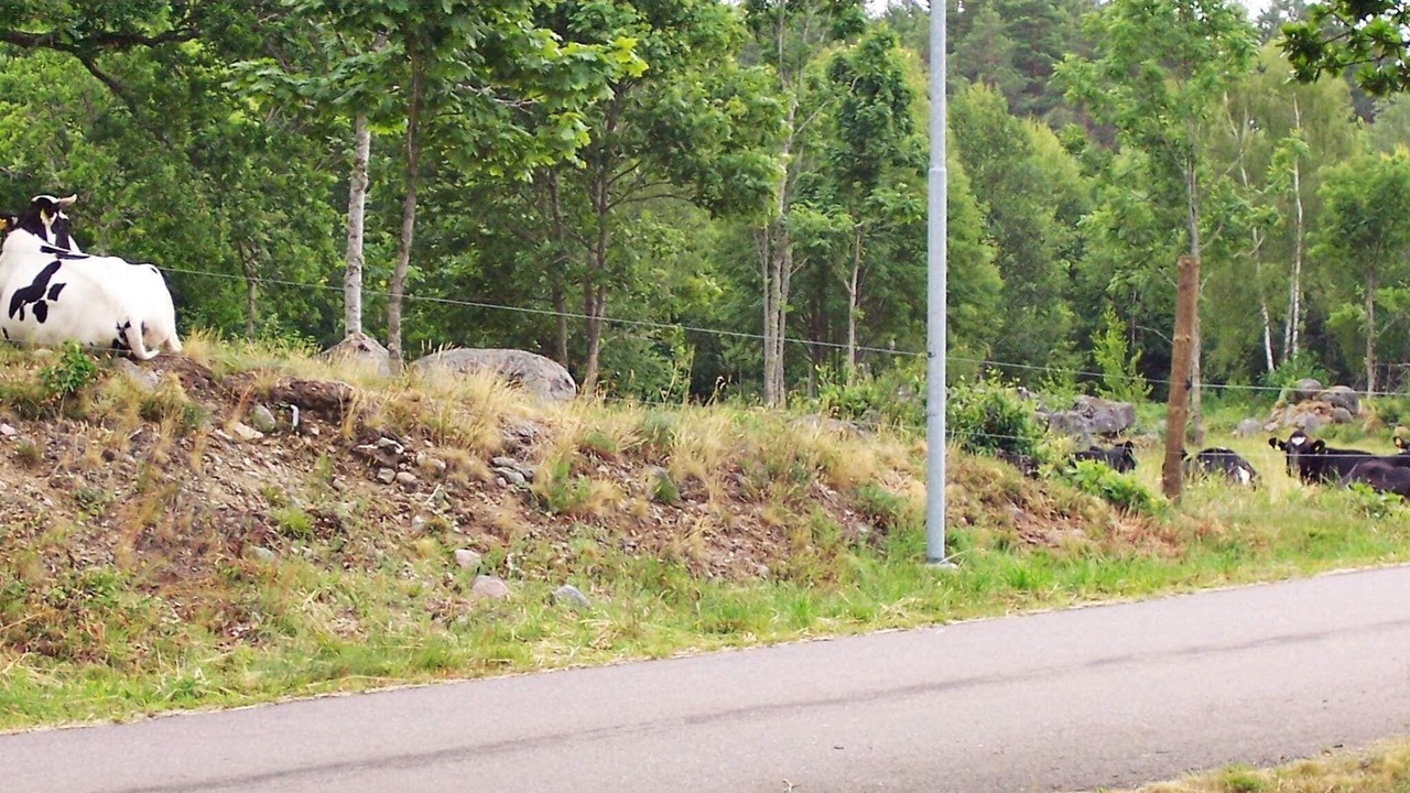 Photo of Others in Jonsryd