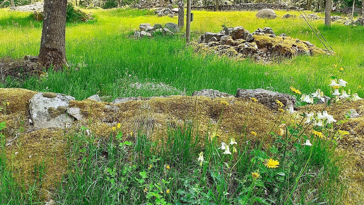 Photo of Outdoor in Jonsryd
