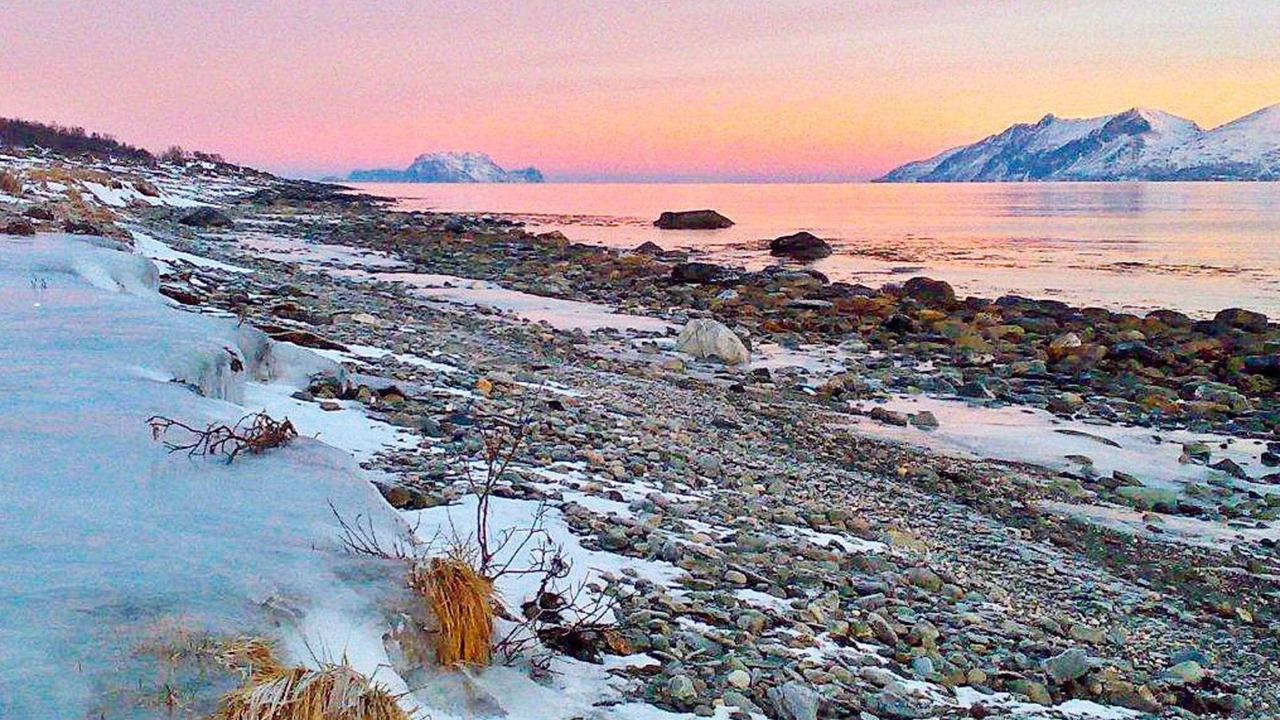 Photo of Others in Lyngen