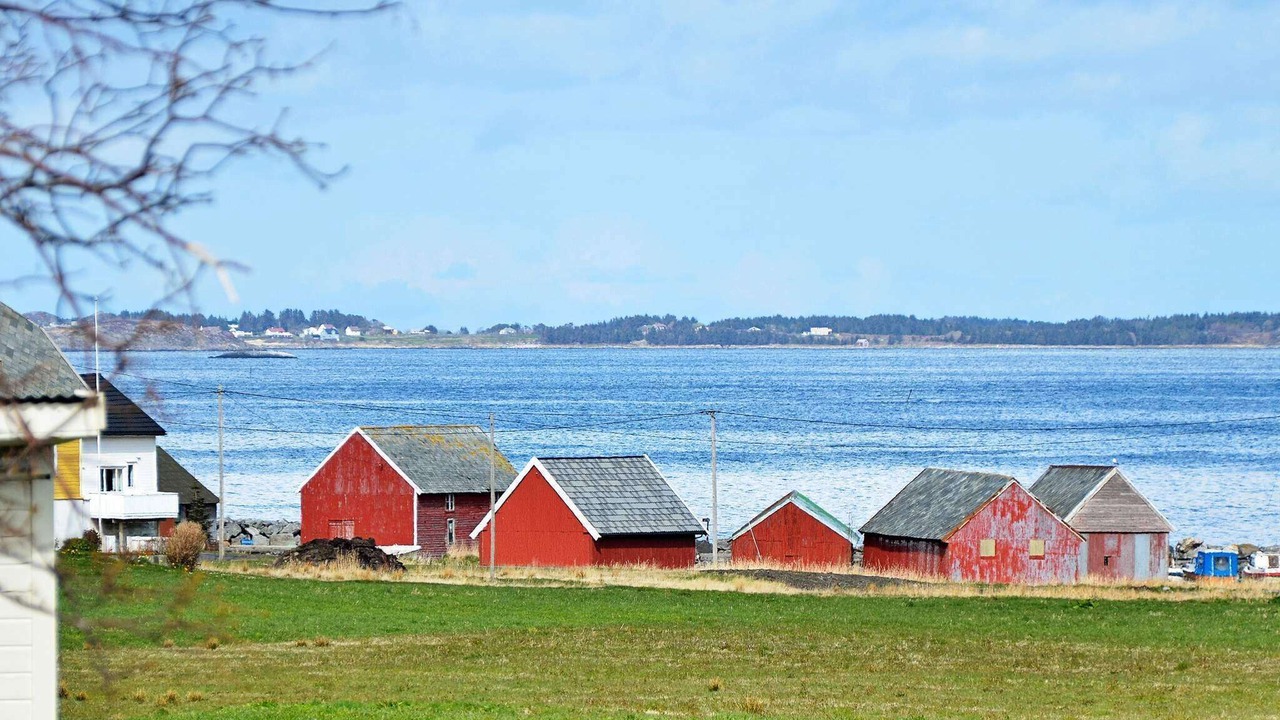 Photo of Others in Fjørtoft