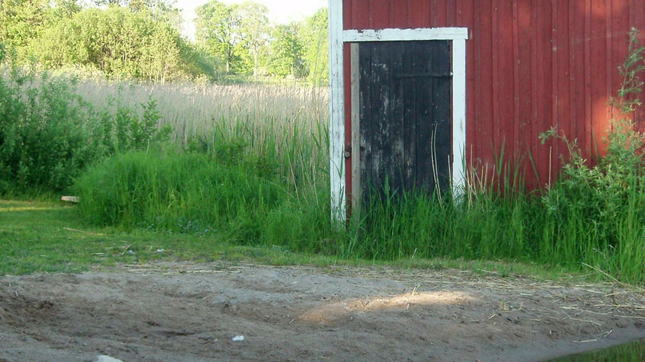 Photo of Others in Vaddo
