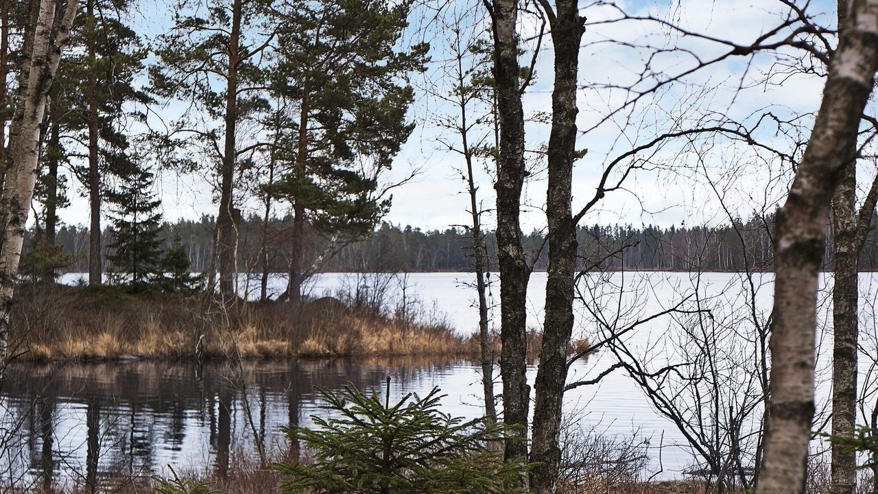 Photo of Others in Ryssby