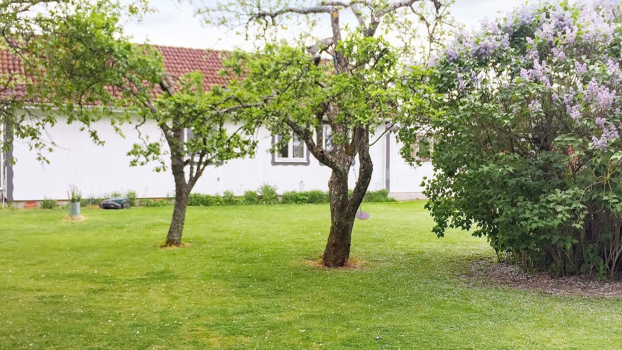 Photo of Outdoor in Vara