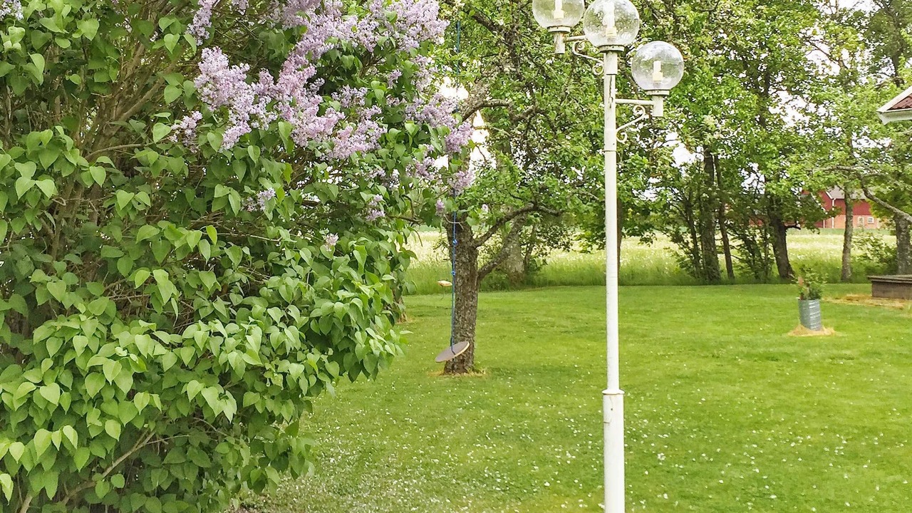 Photo of Outdoor in Vara
