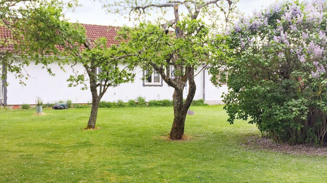 Photo of Outdoor in Vara Municipality