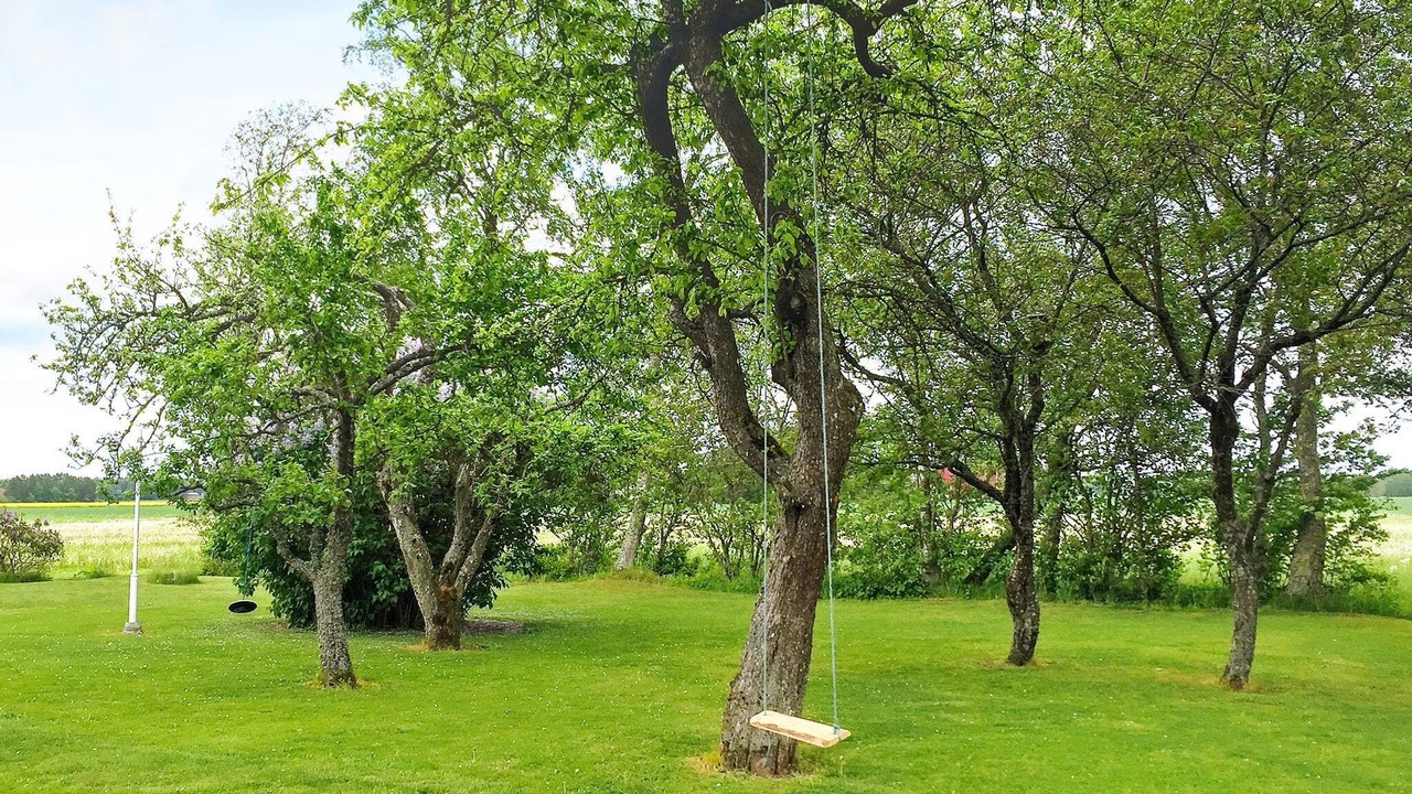 Photo of Outdoor in Vara