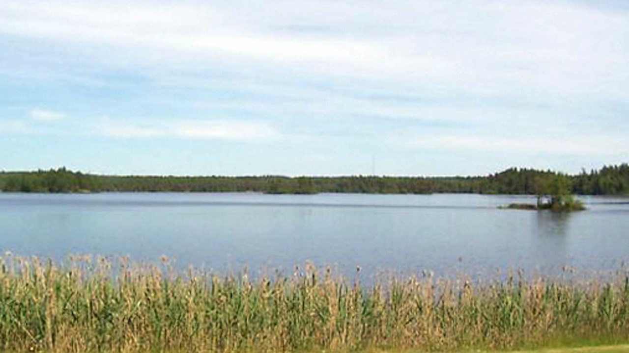 Photo of Others in Lammhult