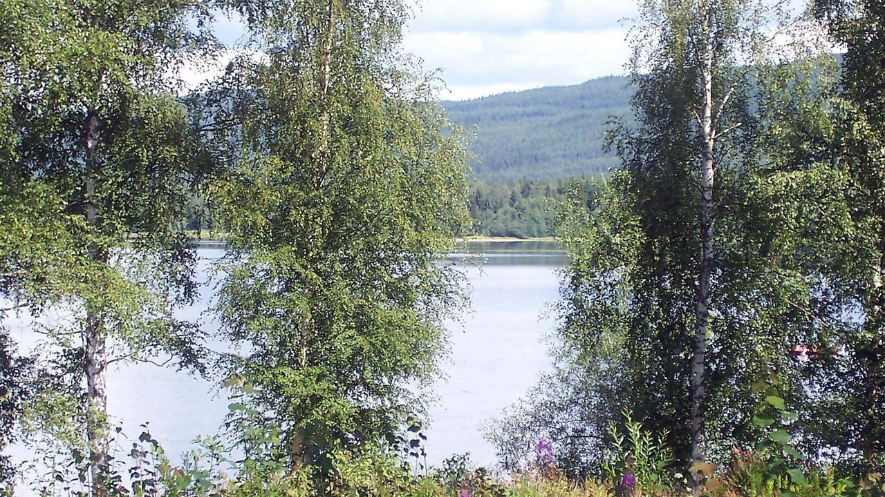 Photo of Others in Overbyn