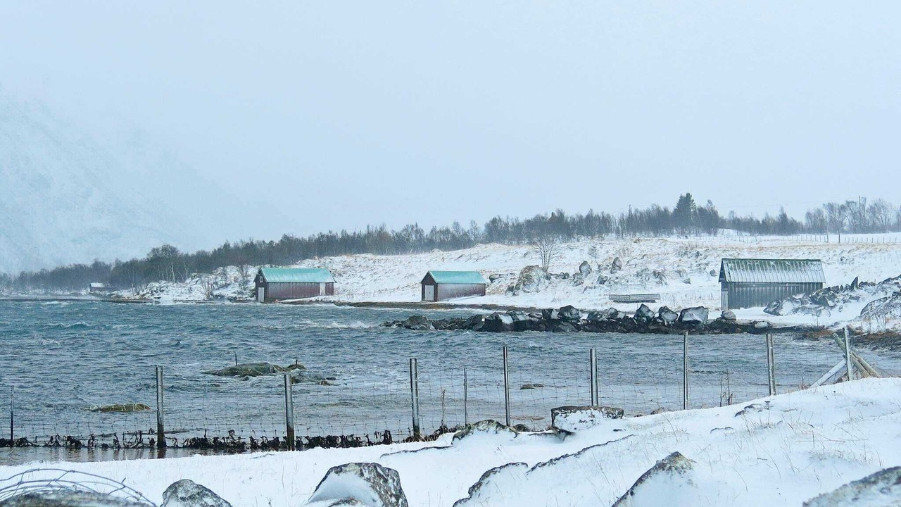 Photo of Others in Gisløy