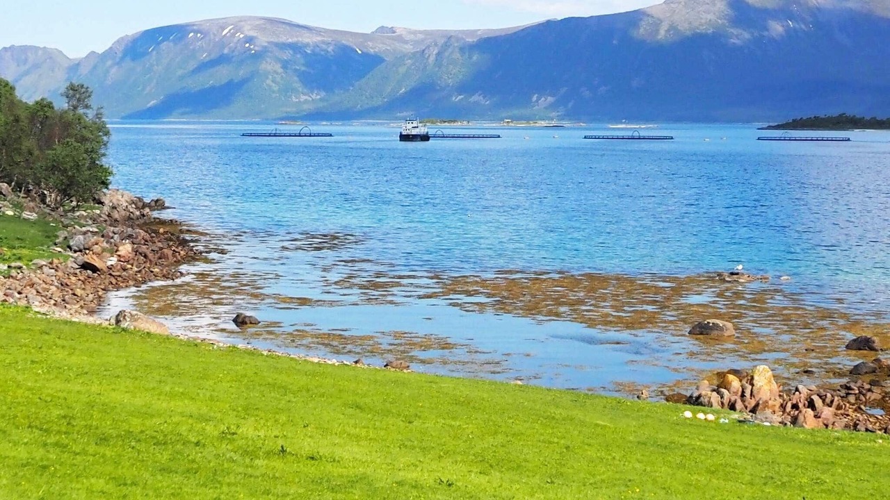 Photo of Outdoor in Gisløy