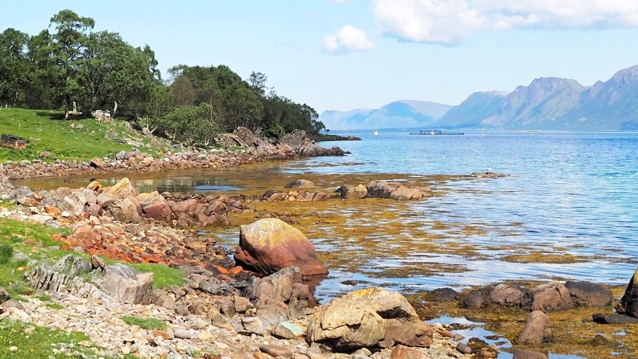 Photo of Outdoor in Gisløy