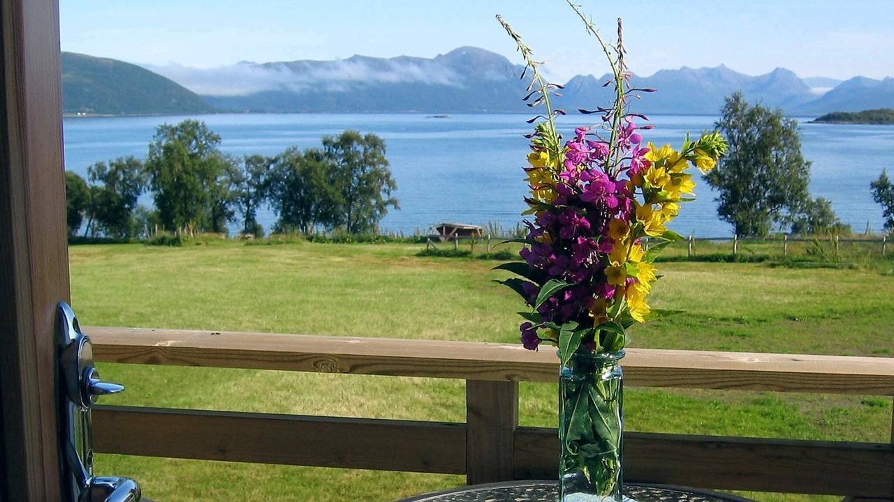 Photo of Others in Gisløy