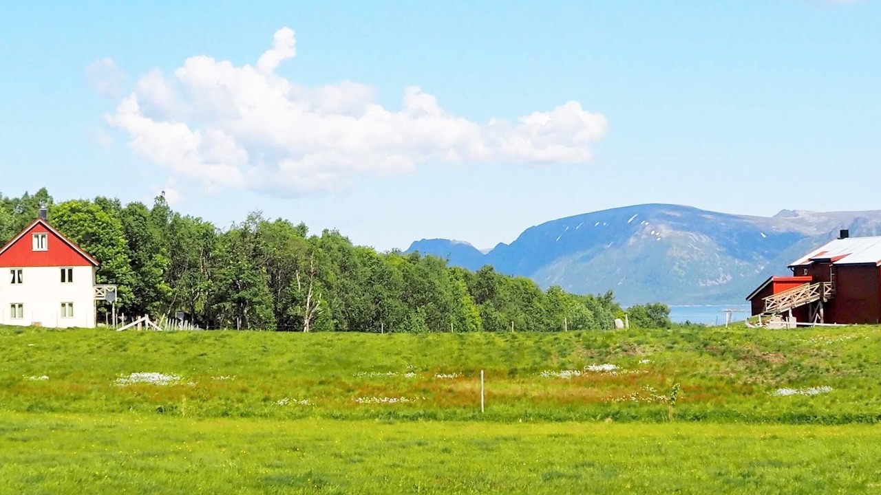 Photo of Outdoor in Gisløy
