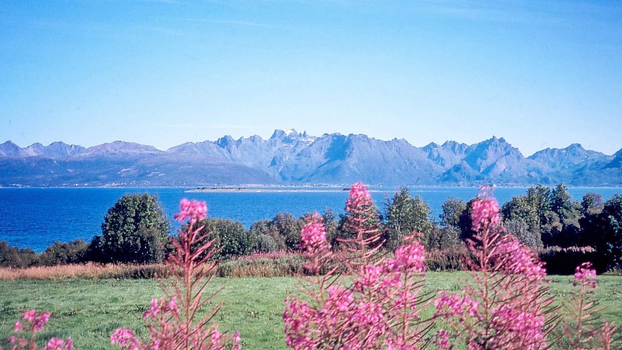 Photo of Others in Gisløy