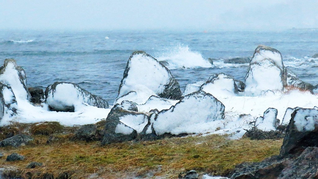 Photo of Others in Gisløy