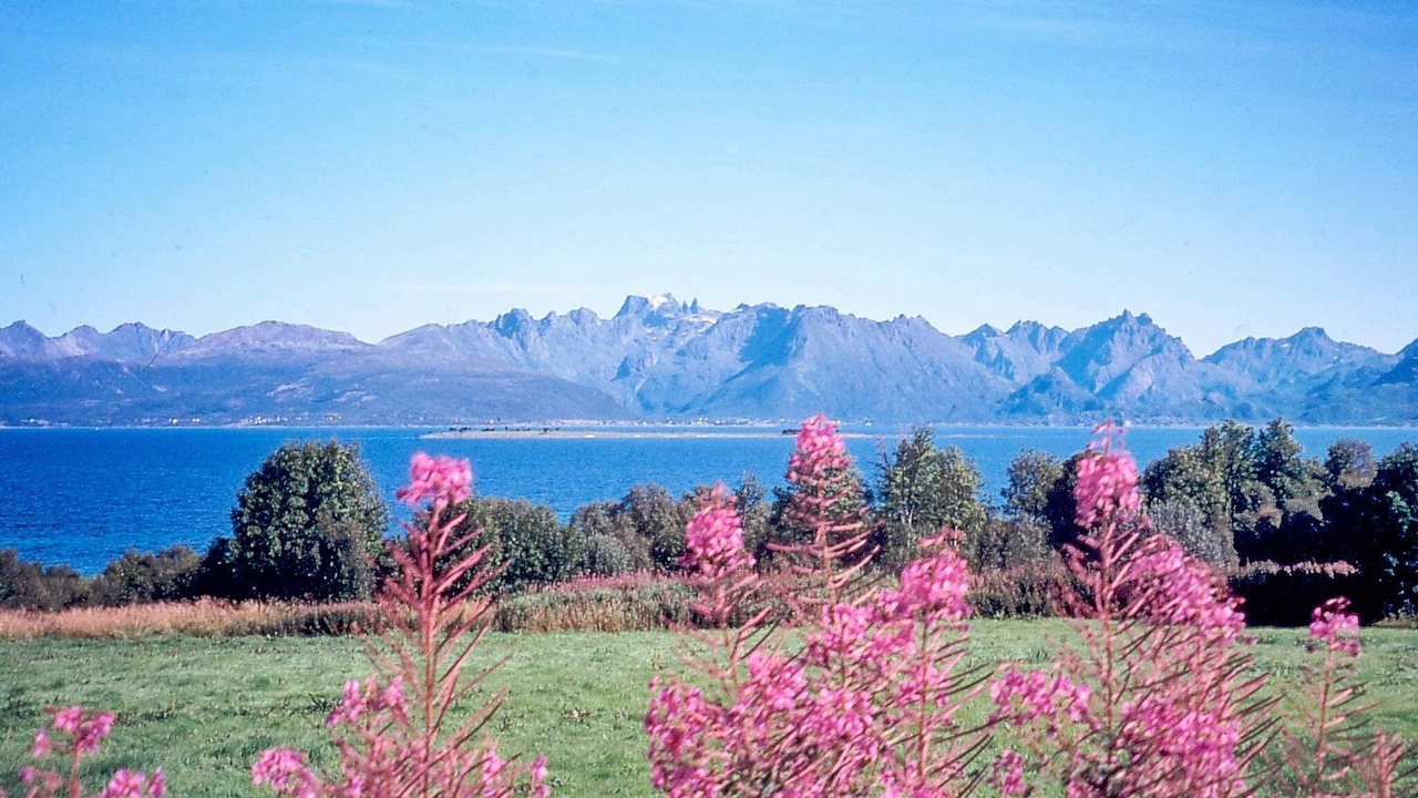 Photo of Others in Gisløy