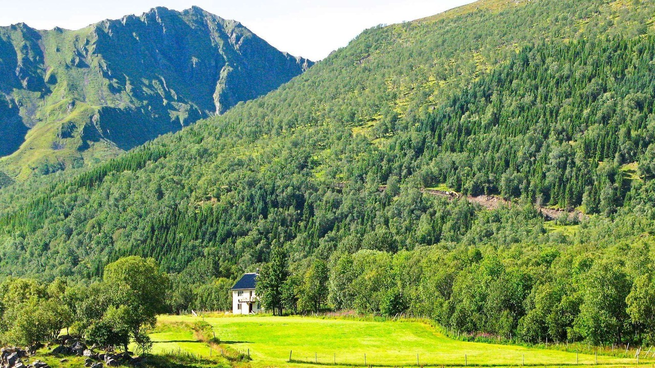 Photo of Others in Gisløy