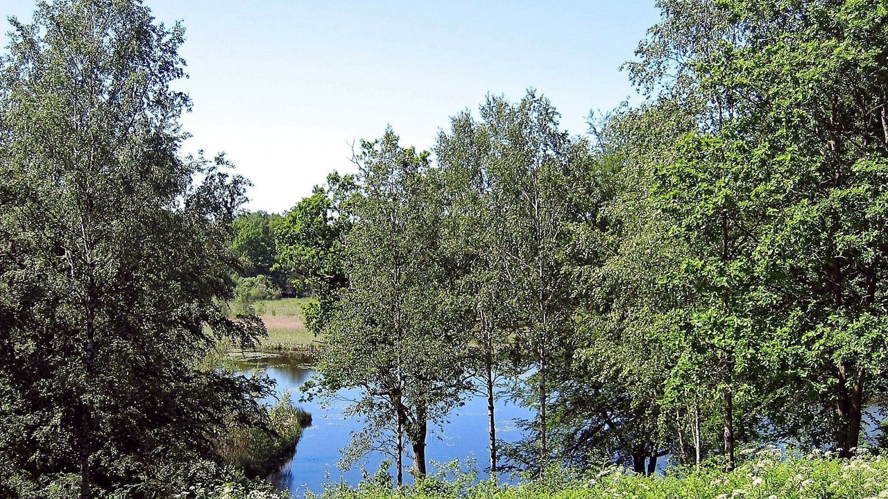Photo of Others in Tjornarp