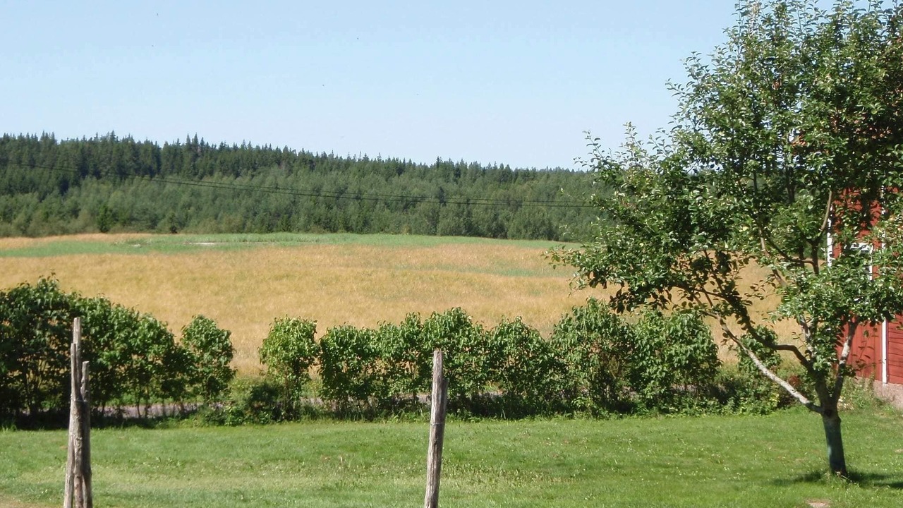Photo of Others in Rumskulla