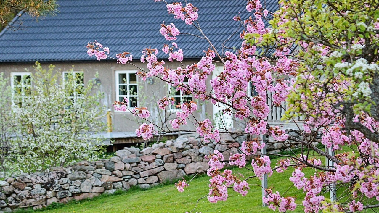 Photo of Outdoor in Varekil