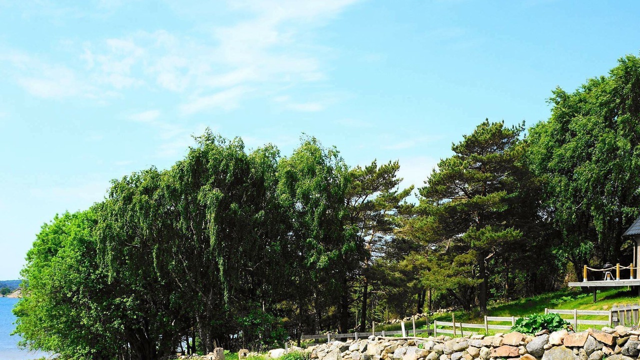Photo of Outdoor in Varekil