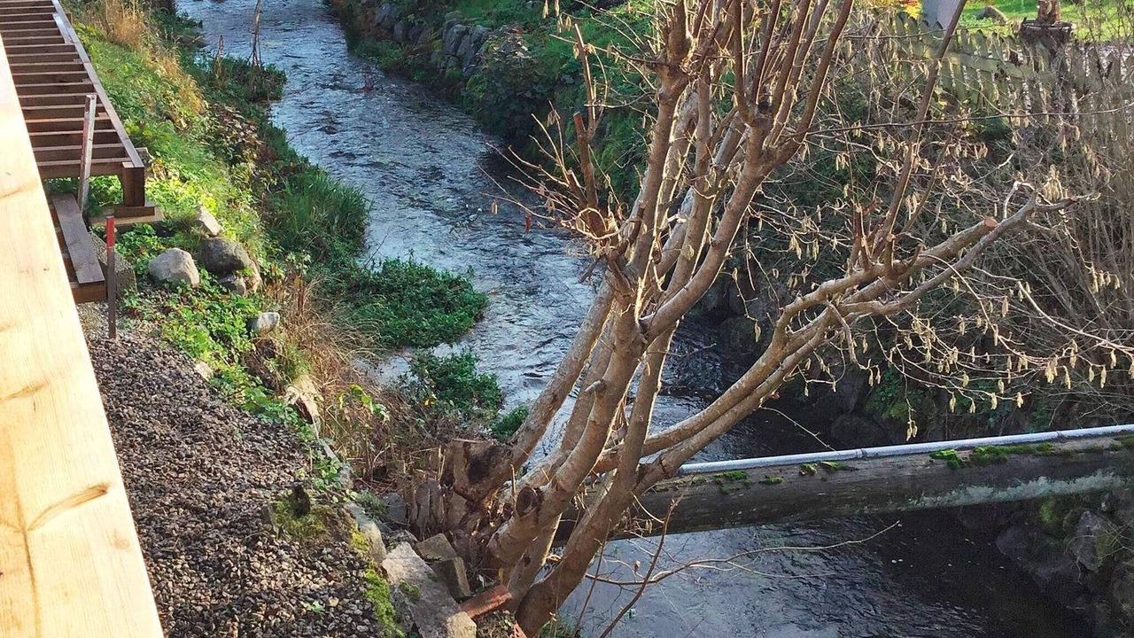 Photo of Outdoor in Mollebjorke