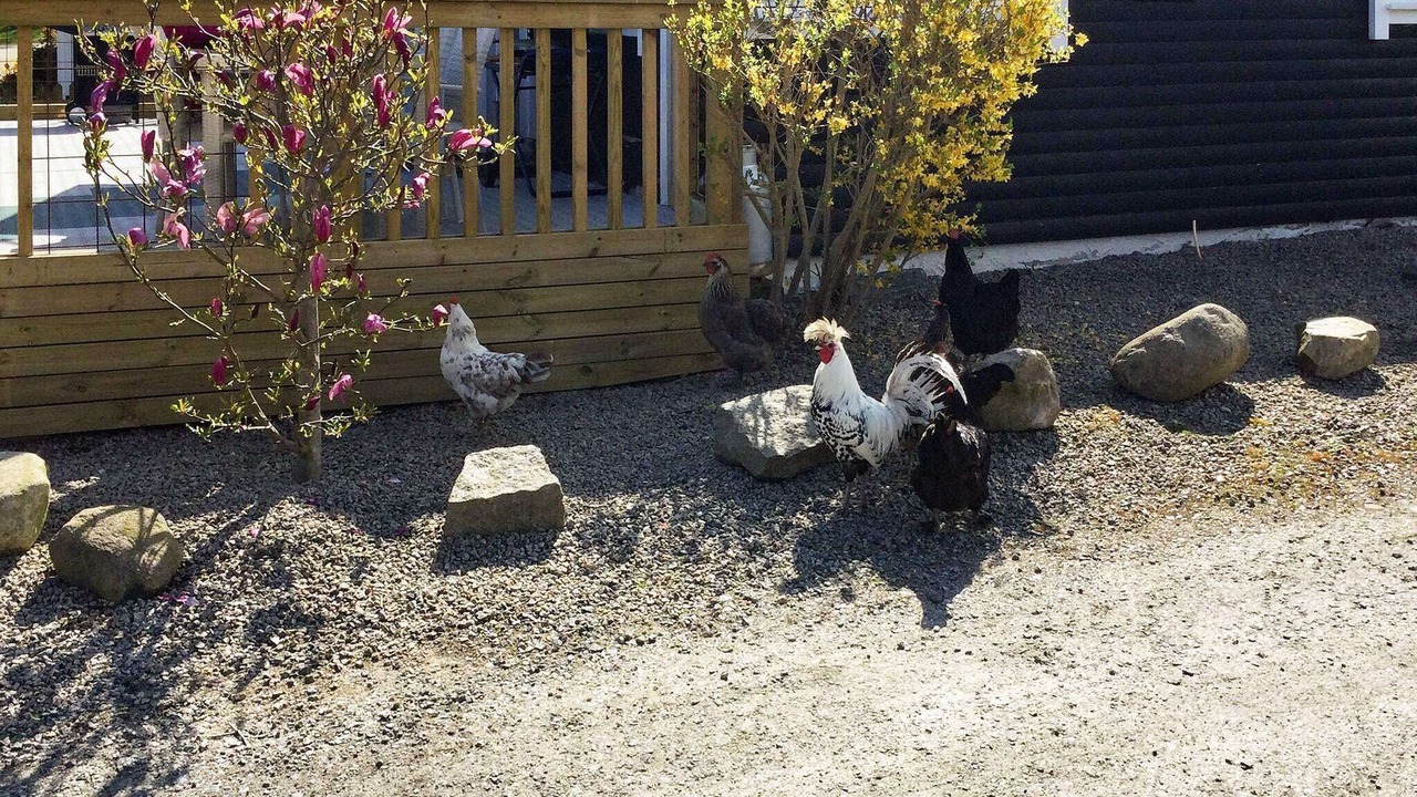 Photo of Outdoor in Mollebjorke