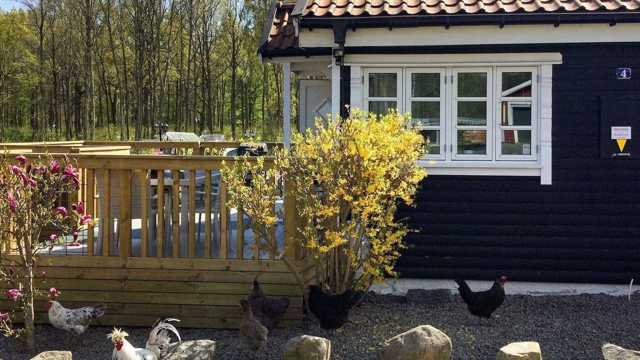 Photo of Outdoor in Mollebjorke