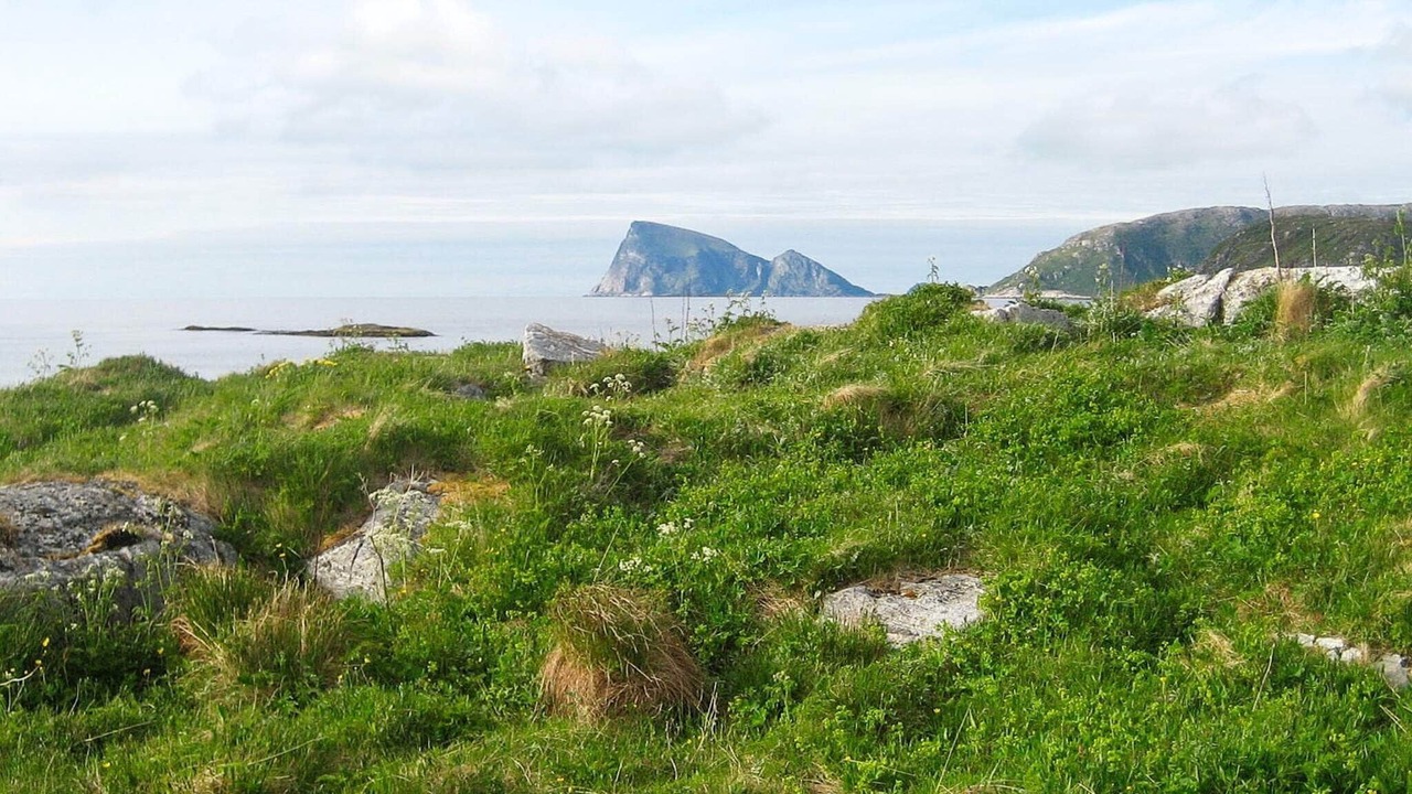 Photo of Others in Kvaloya