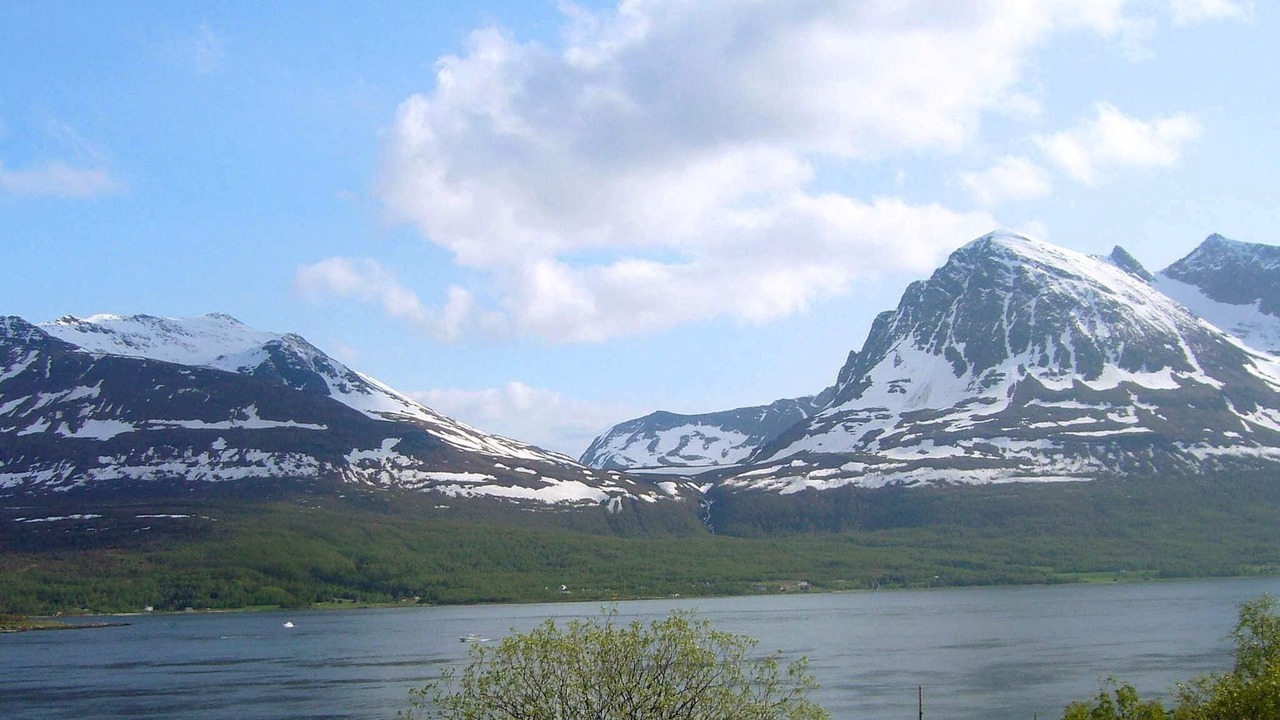 Photo of Others in Kvaloya