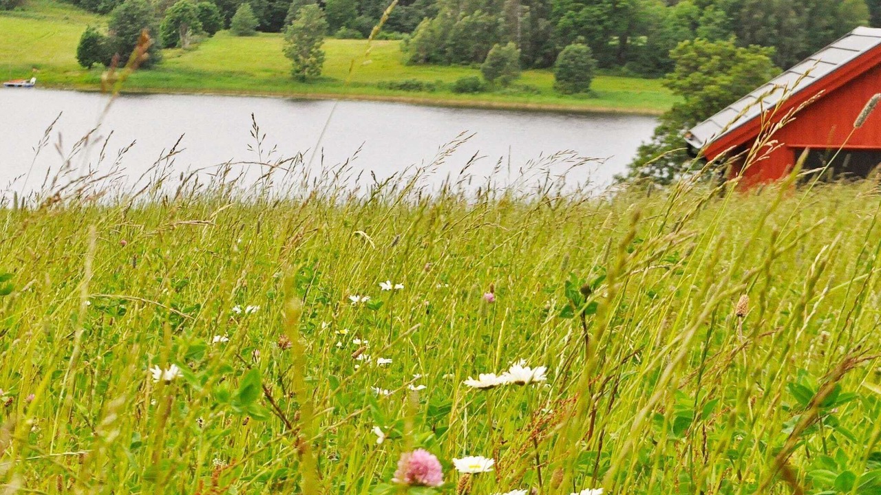 Photo of Outdoor in Stora Lovnas