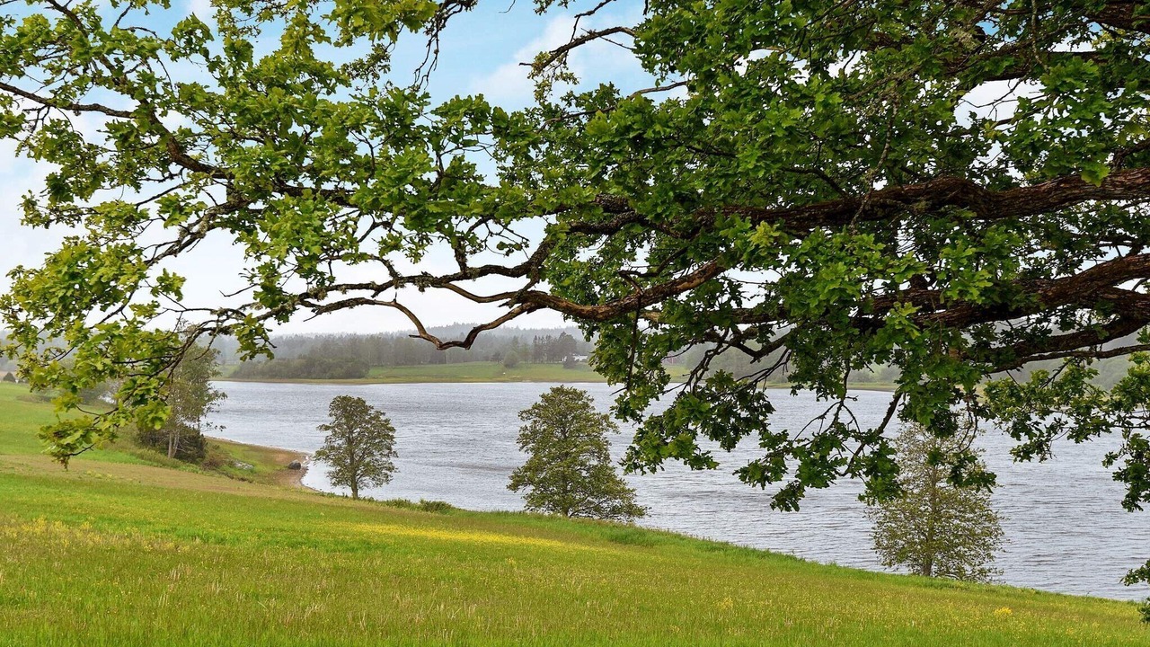 Photo of Others in Frandefors
