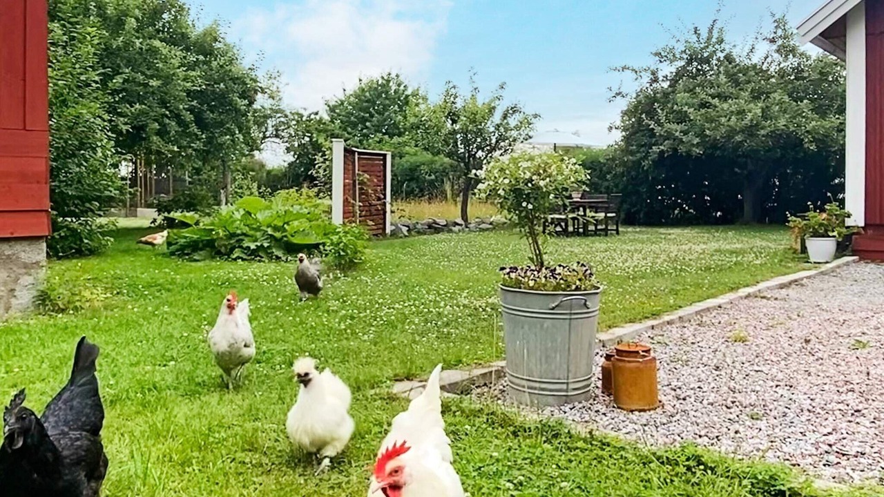 Photo of Outdoor in Stenhamra
