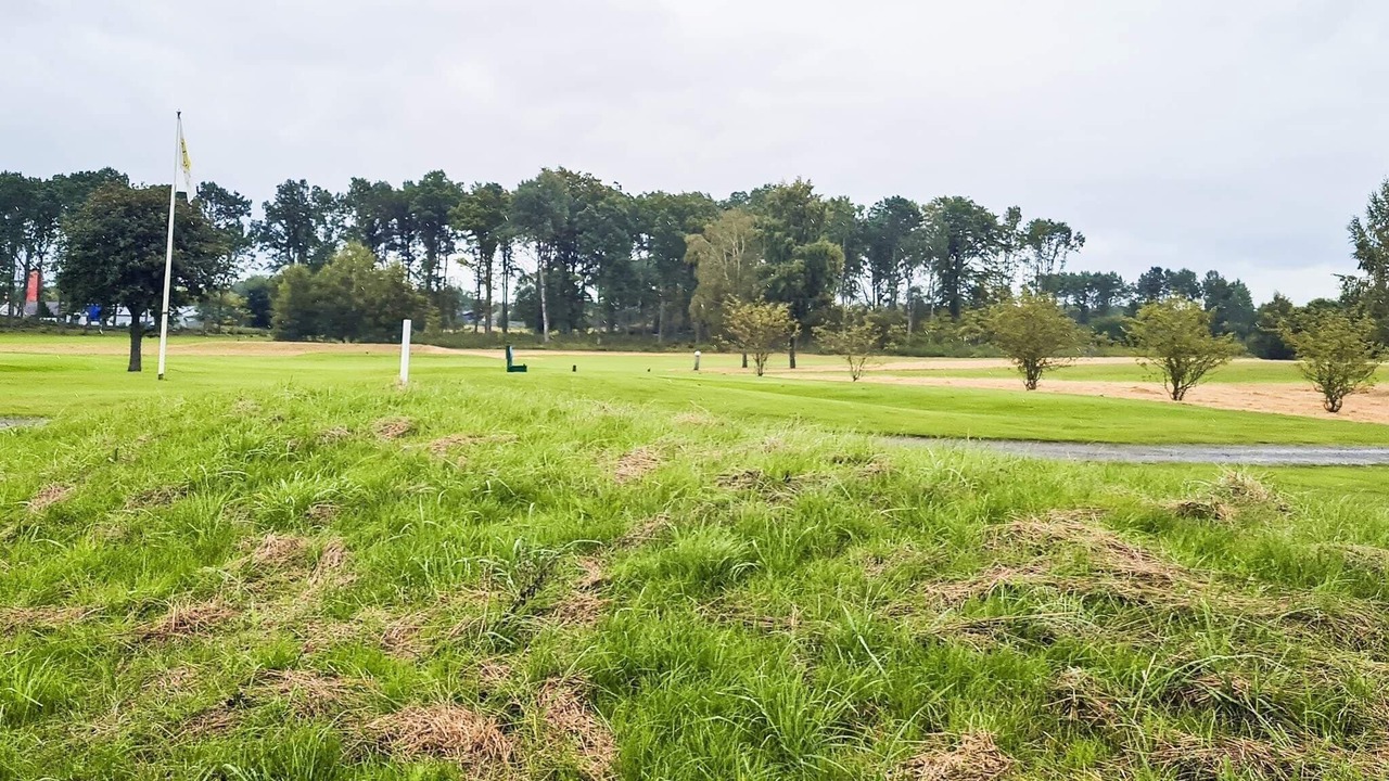 Photo of Others in Hassleholm Municipality