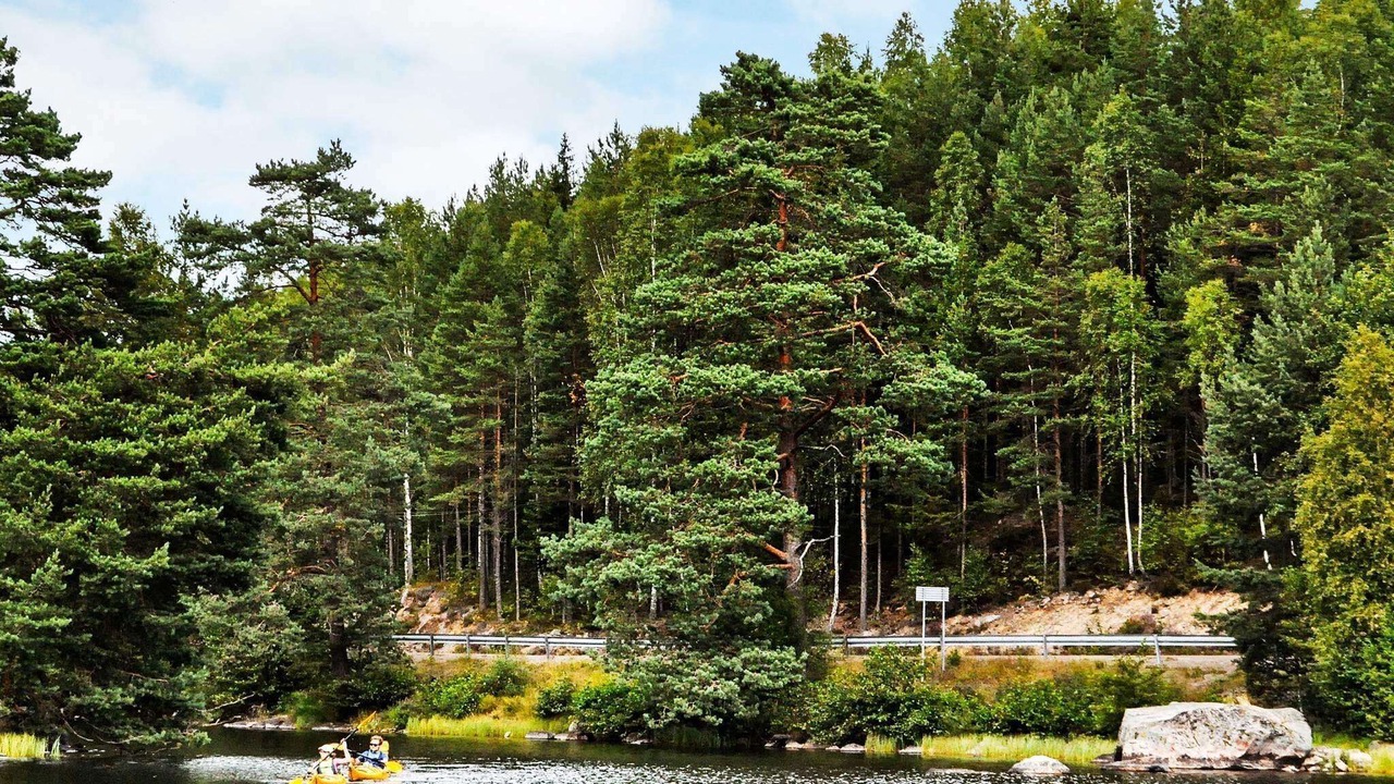 Photo of Others in Bengtsfors
