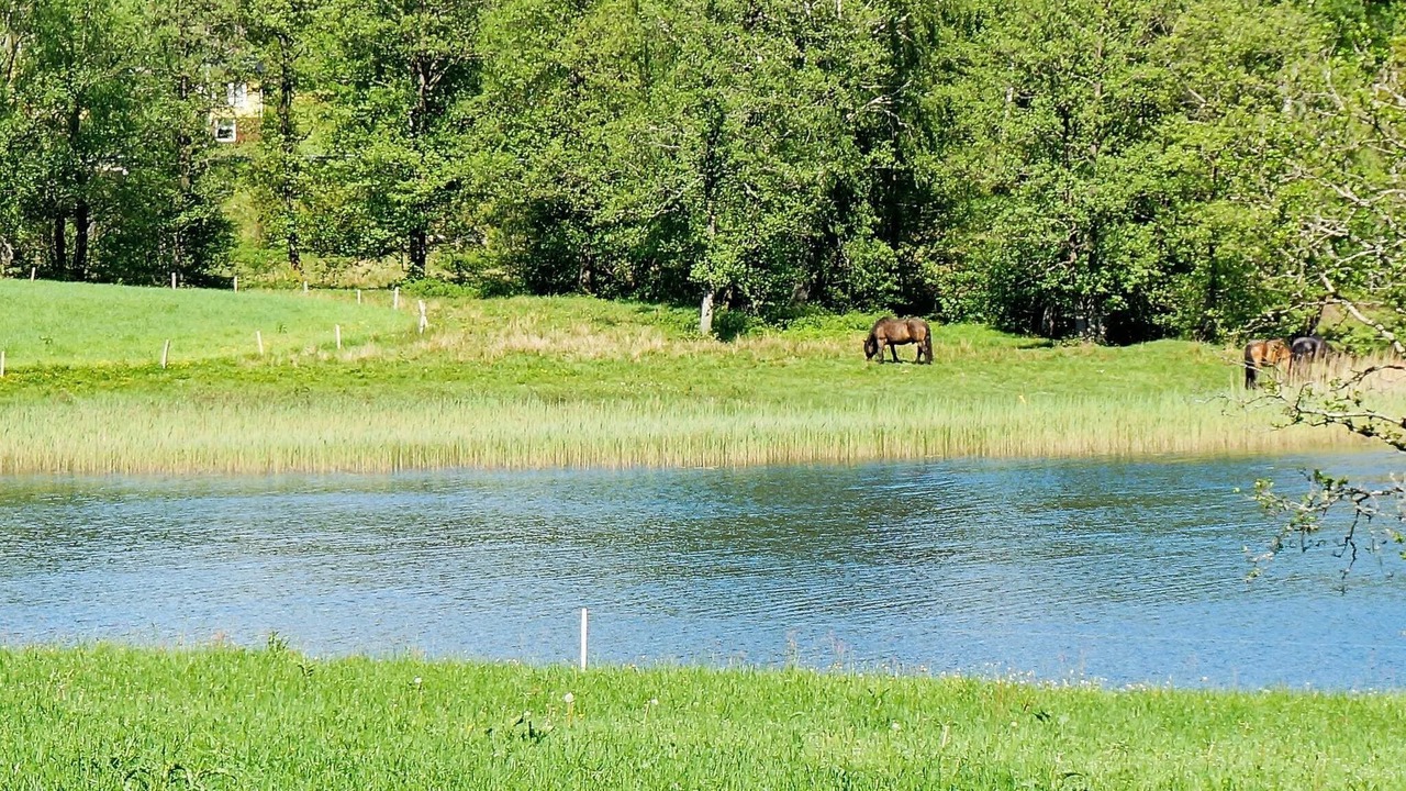 Photo of Others in Ullared