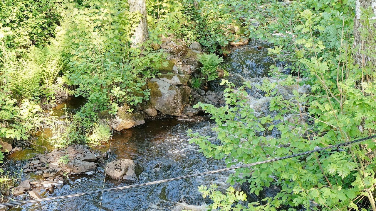 Photo of Others in Ullared