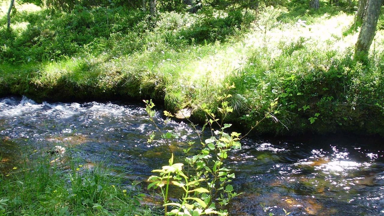Photo of Outdoor in Stoten
