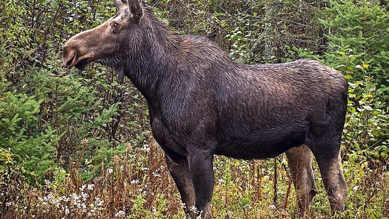 Photo of Others in Stoten