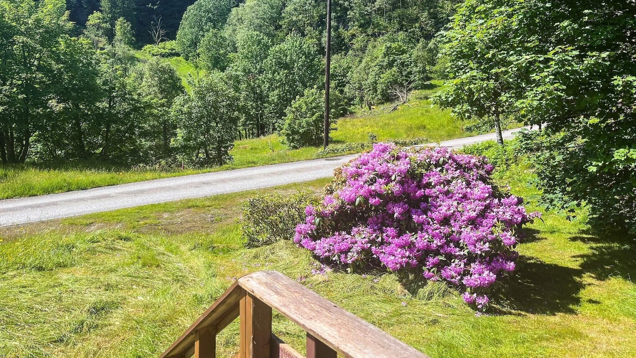 Photo of Outdoor in Gulen Municipality