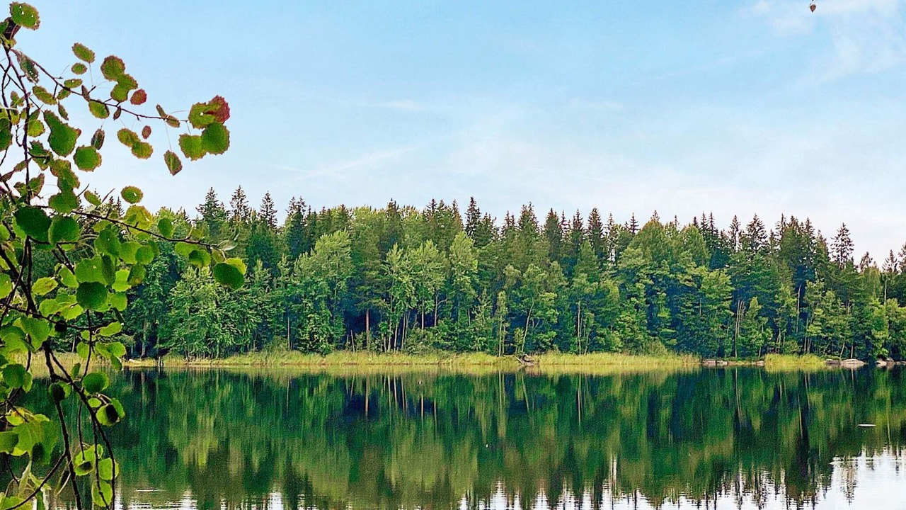 Photo of Outdoor in Vimmerby