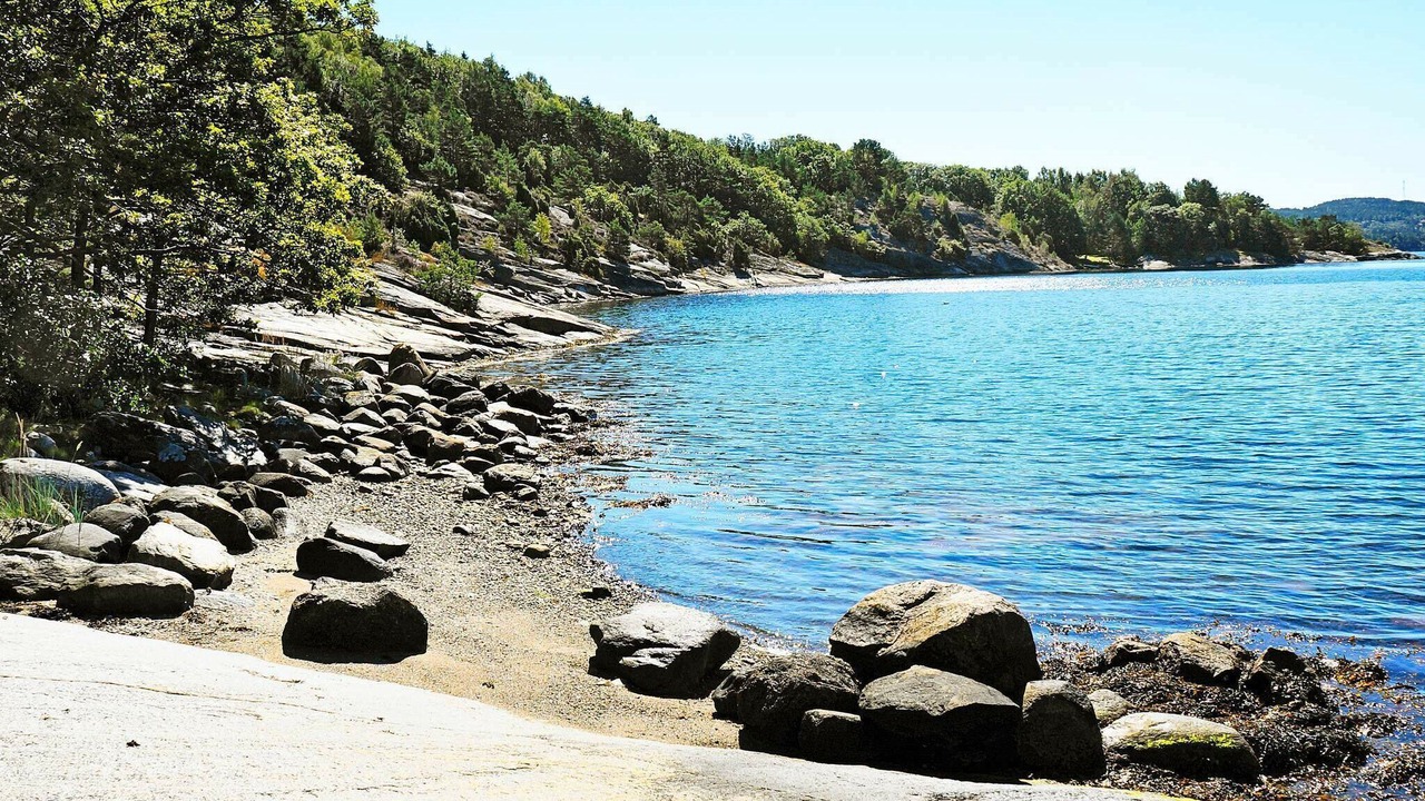 Photo of Others in Ljungskile