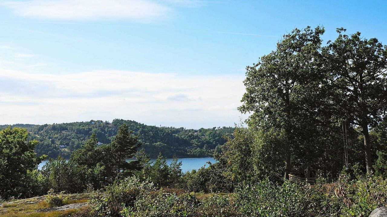 Photo of Others in Ljungskile