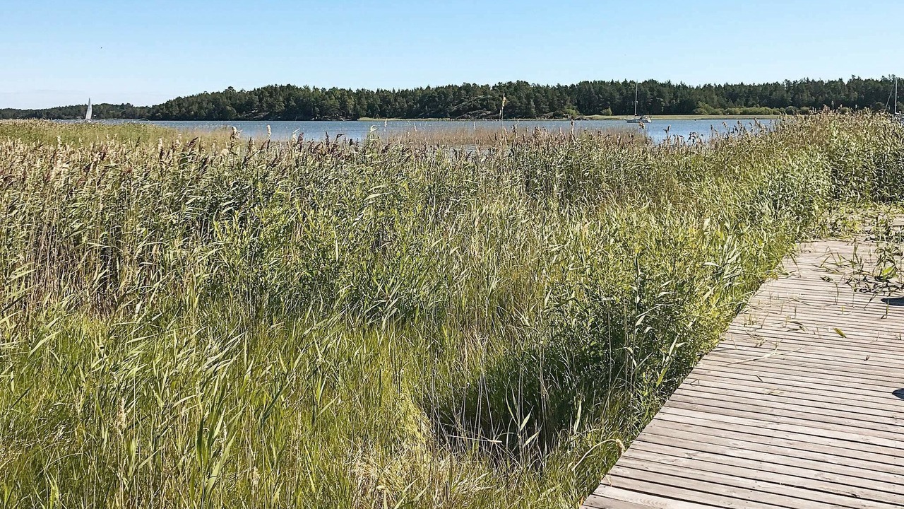 Photo of Outdoor in Otterstad