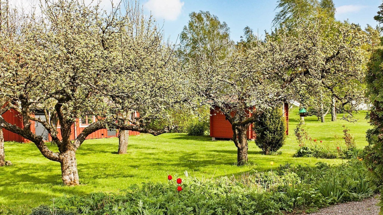 Photo of Outdoor in Soderakra