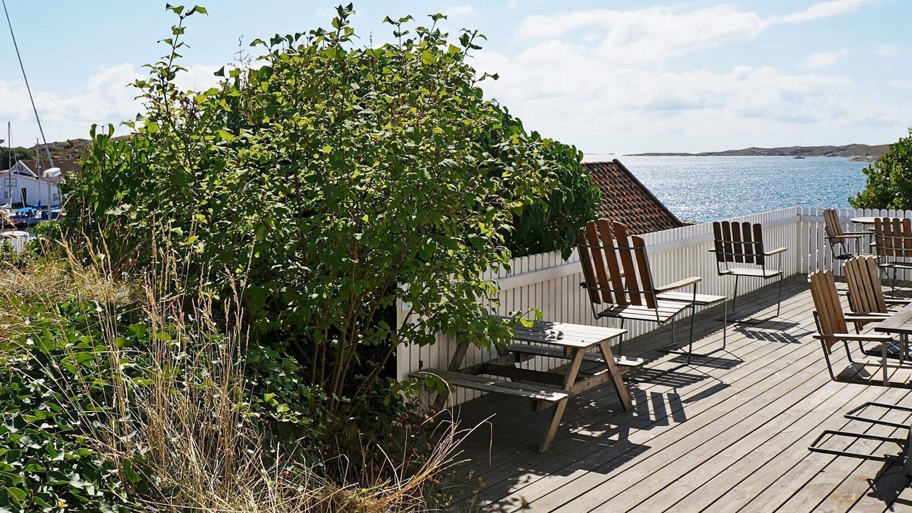 Photo of Others in Halleviksstrand