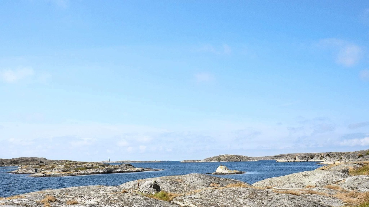 Photo of Others in Halleviksstrand
