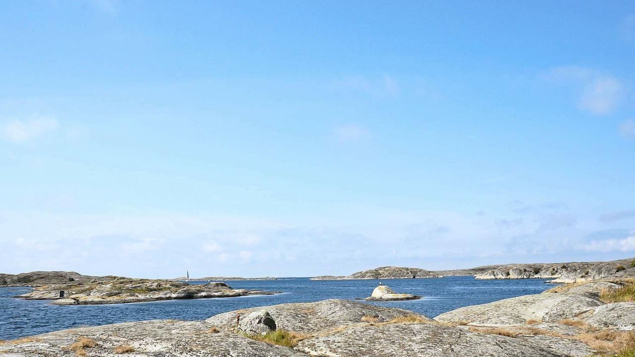 Photo of Others in Halleviksstrand