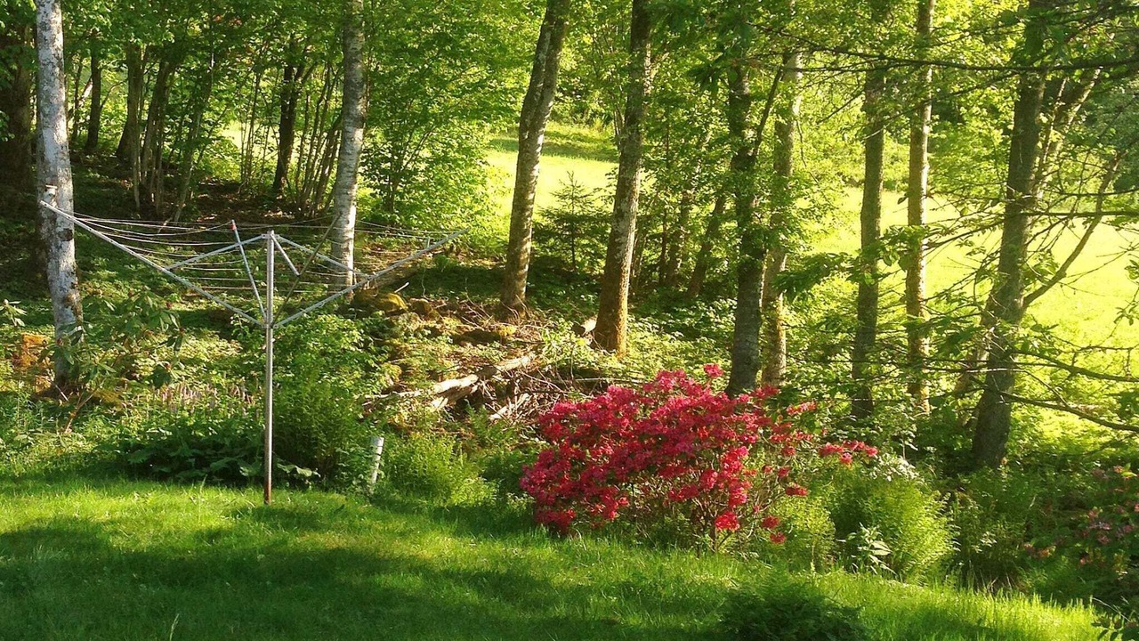 Photo of Outdoor in Alingsas
